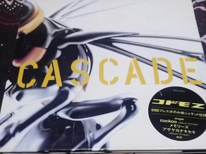 CASCADE アルバム コドモZ 