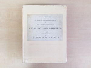 1847-51年刊初版本 植物学者ウィリアム・グリフィス著『Icones plantarum asiaticarum』(パート1-3まで合本全1冊) 19世紀最重要植物画譜
