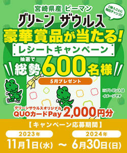 ■即決■個数3■宮崎県産ピーマン グリーンザウルスレシートキャンペーン（5月分）■QUOクオカードpay2000円分100名様当選■懸賞応募■