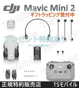 DJI Mavic Mini2 マビック ミニ2 小型 DJI 4Kカメラ付き ドローン【賠償責任保険付】技適マーク 200g未満 TSモバイルGPS microSDカード対応