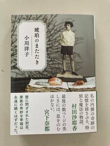 琥珀のまたたき　小川洋子　文庫本