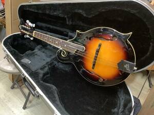 Loar Mandolin F5スタイルマンドリン　単板削り出しの上級スペックマンドリン　マイク付き 人気のロアーマンドリン　