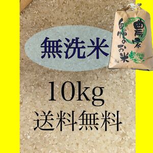栃木産　白米　お米　限定　うるち米　格安　精米 10kg 令和5年　送料無料　送料込み　最安値　rice　新米 無洗米　美味しい