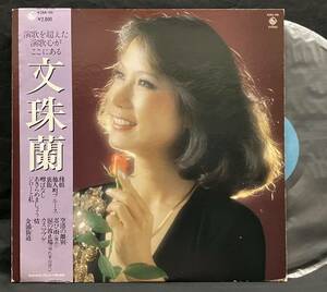 LP【文珠蘭】ムン・ジュラン