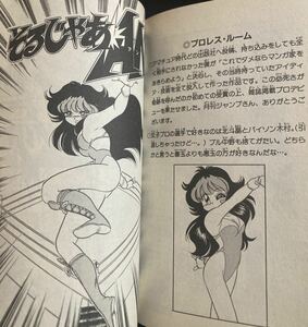女子プロレス短編漫画『そるじゃあAN』収録コミック　ジャンプコミックス　キャットファイト