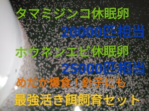 タマミジンコ20000匹相当ホウネンエビ25000匹相当　休眠乾燥卵　最強活き餌飼育セット　取説付　めだか　グッピー金魚　送料無料　熱帯魚餌