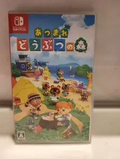 美品⭐︎あつまれ どうぶつの森　Nintendo Switch