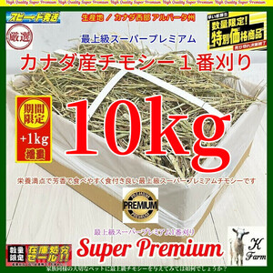 【4/29まで数量限定】 カナダ産 チモシー 10+1kg スーパープレミアム （１番刈）最上質アルバータ産/牧場運営の当方が見極めた極上チモシー