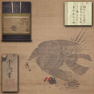 慶應◆江戸時代中期 幕府御用絵師【狩野常信】真筆 絹本墨画淡彩『松に鷹雉子之図』大幅掛軸 古筆了件極め 時代箱