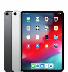iPad Pro 11-inch (第1世代)Wi-Fi + Cellularモデル スペースグレイ 512GB 　Apple Care +とZUGU iPad Pro 11 ケース付き