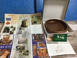 世界遺産　屋久杉専門店在庫品　　土埋木　靖修作　　美木　逸品