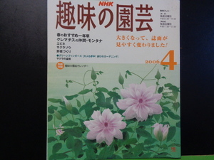 NHK　趣味の園芸　春のおすすめ一年草・クレマチスの仲間モンタナ　2006年4月
