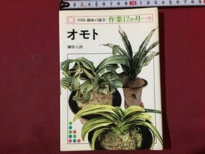 ｓ◆　昭和57年 7刷　NHK 趣味の園芸 作業12か月…24　オモト　榊原八郎　日本放送出版協会　昭和レトロ　当時物　/ LS10