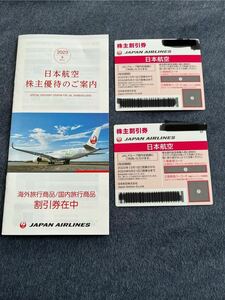 JAL 海外旅行 国内旅行 割引券 株主割引券 2枚セット 有効期限2024年5月31日