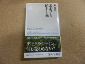 ちくま新書;森政稔「迷走する民主主義」