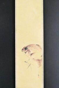 K3223 真作 中村左洲「鯛」紙本 合箱 肉筆 たい 磯部百鱗師事 中国 日本画 書画 絵画 掛軸 掛け軸 古美術 三重の人