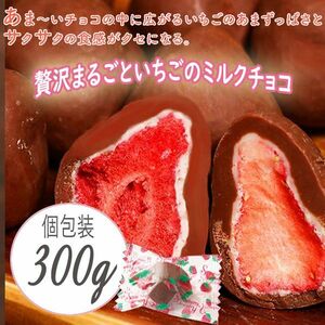 送料300円(税込) ■fm409■◎贅沢まるごといちごのミルクチョコレート　300g【シンオク】