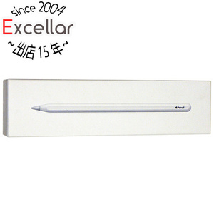 【中古】APPLE Apple Pencil 第2世代 MU8F2J/A(A2051) 元箱あり [管理:1050019667]
