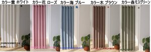 防炎アコーディオンのれん防炎アコーディオンカーテン100×200cm【自然】juuku/雲　色はホワイトでお届けします。