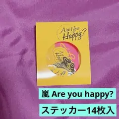 嵐 Are you happy? ステッカー 14枚入