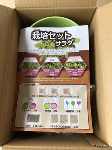 未使用 刀川平和農園 サラダ ガーデニングキット 栽培セット 栽培キット 野菜栽培 簡単栽培 ガーデニング ベランダ菜園 サラダ栽培