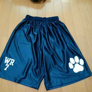 【非売品】立命館大学アメフト部PANTHERS 選手支給 ハーフパンツ M WR #7