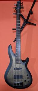 SCHECTER シェクター DIAMOND SERIES C-5 CUSTOM 5弦ベース ダイアモンドシリーズ ベース ギター