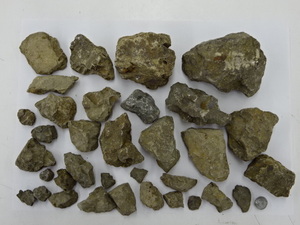 L3-1088 ● 石 大量 まとめ 詳細不明 化石？ コレクション 総重量3.74kg