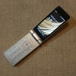 SH-02L docomo 