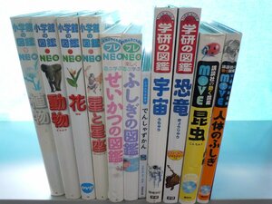 【図鑑】《まとめて11点セット》小学館の図鑑NEO/プレNEO/学研の図鑑/講談社の動く図鑑Move/せいかつの図鑑/昆虫/恐竜 他