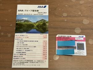 ANA株主優待券　期間2024/06/01〜2025/5/31 1枚