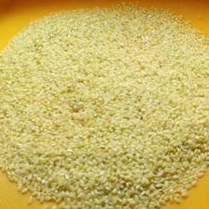 R5☆農薬・肥料不使用(唯一草のみ)で作ったお米☆昔ながらの稲木干し　イセヒカリ　1kg