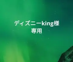 ディズニーking様専用