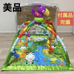 【完備品】フィッシャープライス　レインフォレスト・デラックスジム II