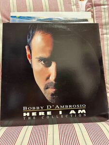 Bobby D Ambrosio - here i am the collection 2枚組 LP 美麗ボーカルハウスやニュージャズ満載名盤