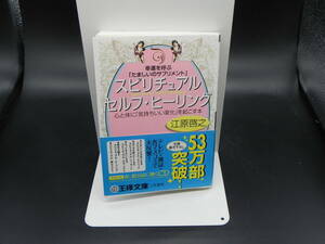 スピリチュアルセルフ・ヒーリング　幸運を呼ぶ「たましいのサプリメント」　江原啓之/箸　王様文庫　LYO-14.221220