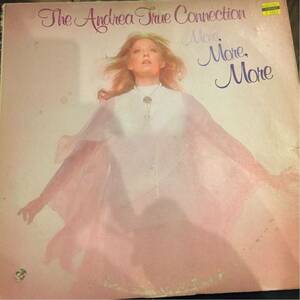 ANDREA TRUE CONNECTION / MORE, MORE, MORE レアGARAGE CLASSIC オリジナルUS盤 中古レコード