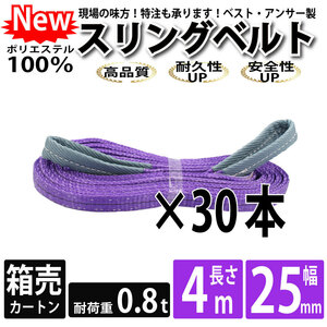 スリングベルト 4m 800kg 25mm ベルトスリング 玉掛け 30本 引っ越し 大量 吊り具 荷重表 種類 運搬用ベルト 運搬用スリング 吊具