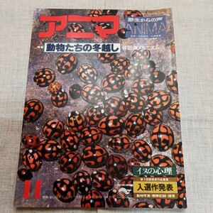 アニマ 1978.11 NO.68 動物たちの冬越し:休眠のメカニズム イヌの心理 平凡社