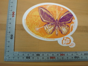 新品REEF (リーフ)ステッカーPLANET REEF（Reef9thConceptDreamerStickers）Carricondo