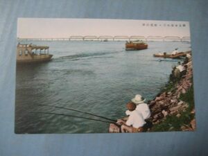 ax1091 戦前中国支那満州絵葉書　ハルピン松花江岸帰るを忘れて　魚釣り