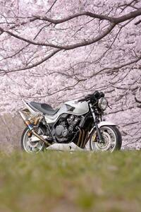 CB400SF 2012年式 前期 NC42 関西発