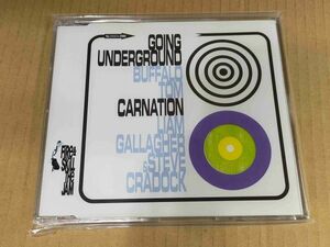 BUFFALO TOM / GOING UNDERGROUND LIAM GALLAGHER & STEVE CRADOCK / CARNATION CD THE JAMカバー OASIS オアシス PAUL WELLER g081