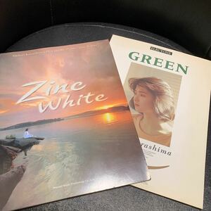 辛島美登里 ジンク・ホワイト Zinc White GREEN ピアノ弾き語り/楽譜 スコア 2冊セット