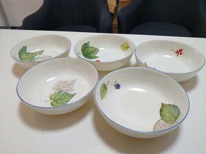 ナルミ 小鉢 5客セット 植物画 柄違い レア柄 NARUMI Fine Chaina JAPAN 鳴海製陶株式会社 コレクション ヴィンテージ レア物