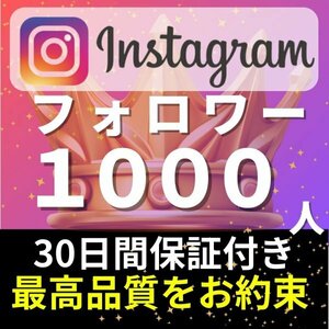 【安心安全★高品質★低価格★【Instagramフォロワー1000人】♪おまけ♪便利なSNS増加ツール！ SNS YouTube TikTok 他