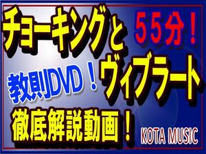 ギターのチョーキング、ビブラート奏法完全習得教則DVD