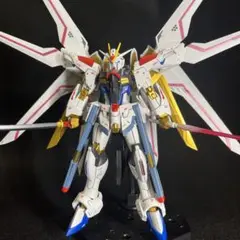 HG ライジングフリーダムガンダム 全塗装完成品 改修 改造 スタンド付