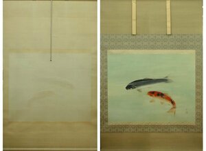 大幅 緑川 鯉 日本画 鯉図 双鯉 遊鯉 掛け軸　掛軸　絹に彩色 中古　Japanese Hanging scroll