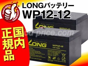 新品★WP12-12 2個セット★UPS交換用バッテリーAPC[SU1000J/SUA1000J対応]